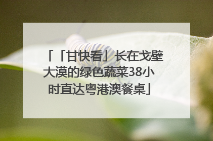 「甘快看」长在戈壁大漠的绿色蔬菜38小时直达粤港澳餐桌