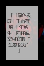 「绿色发展」千亩荷塘 十年新生｜四任航空村官的“生态接力”