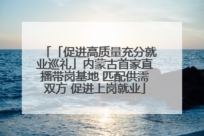 「促进高质量充分就业巡礼」内蒙古首家直播带岗基地 匹配供需双方 促进上岗就业