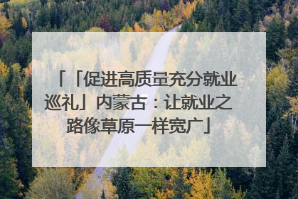 「促进高质量充分就业巡礼」内蒙古：让就业之路像草原一样宽广