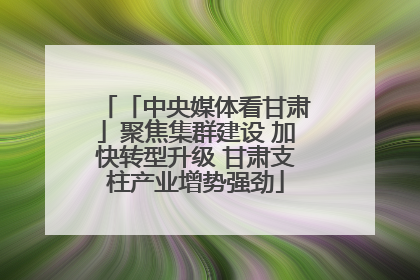 「中央媒体看甘肃」聚焦集群建设 加快转型升级 甘肃支柱产业增势强劲