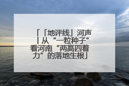 「地评线」河声丨从“一粒种子”看河南“两高四着力”的落地生根
