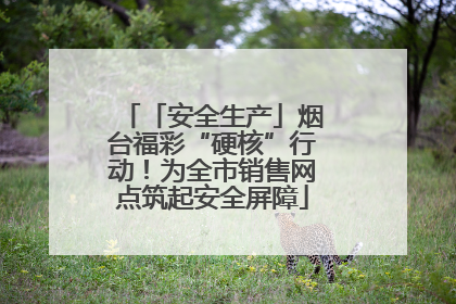 「安全生产」烟台福彩“硬核”行动！为全市销售网点筑起安全屏障