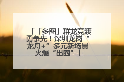 「多图」群龙竞渡勇争先！深圳龙岗“龙舟+”多元新场景火爆“出圈”