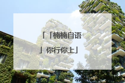 「楠楠自语」你行你上