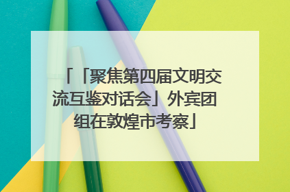 「聚焦第四届文明交流互鉴对话会」外宾团组在敦煌市考察