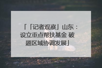 「记者观察」山东：设立重点帮扶基金 破题区域协调发展