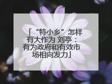 “特小乡”怎样有大作为 刘亭：有为政府和有效市场相向发力