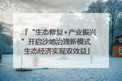 “生态修复+产业振兴”开启沙地治理新模式 生态经济实现双效益