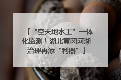 “空天地水工”一体化监测！湖北黄冈河湖治理再添“利器”