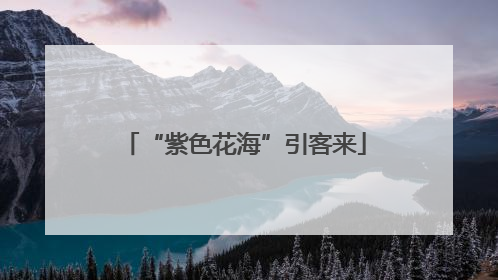 “紫色花海”引客来