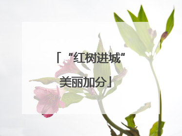 “红树进城” 美丽加分
