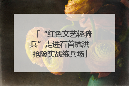 “红色文艺轻骑兵”走进石首抗洪抢险实战练兵场