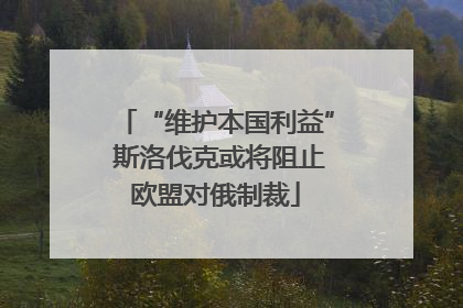“维护本国利益” 斯洛伐克或将阻止欧盟对俄制裁