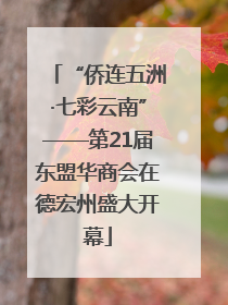 “侨连五洲·七彩云南”——第21届东盟华商会在德宏州盛大开幕