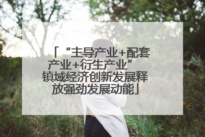 “主导产业+配套产业+衍生产业” 镇域经济创新发展释放强劲发展动能