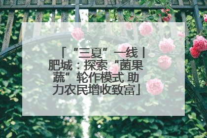 “三夏”一线丨肥城：探索“菌果蔬”轮作模式 助力农民增收致富