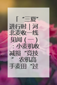 “三夏”进行时｜河北麦收一线见闻（一）：小麦机收减损“竞技” 农机高手麦田“过招”