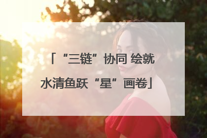 “三链”协同 绘就水清鱼跃“星”画卷