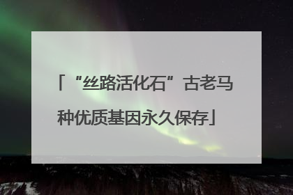 “丝路活化石”古老马种优质基因永久保存