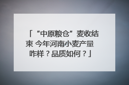 “中原粮仓”麦收结束 今年河南小麦产量咋样？品质如何？