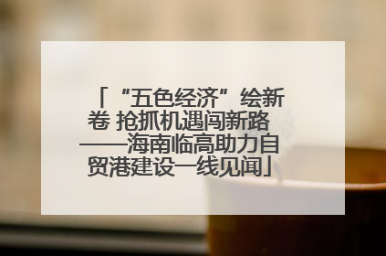 “五色经济”绘新卷 抢抓机遇闯新路——海南临高助力自贸港建设一线见闻