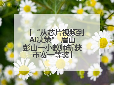 “从芯片视频到AI决策” 眉山彭山一小教师斩获市赛一等奖