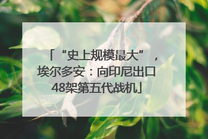 “史上规模最大”，埃尔多安：向印尼出口48架第五代战机