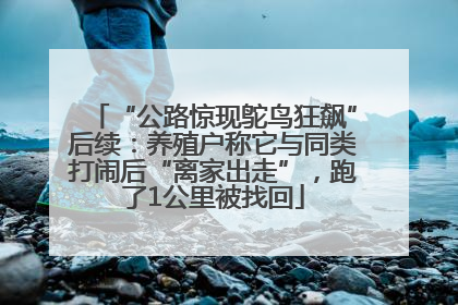 “公路惊现鸵鸟狂飙”后续：养殖户称它与同类打闹后“离家出走”，跑了1公里被找回