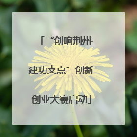 “创响荆州·建功支点”创新创业大赛启动