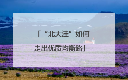 “北大洼”如何走出优质均衡路