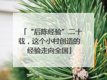 “后陈经验”二十载，这个小村创造的经验走向全国