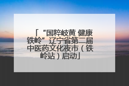 “国粹岐黄 健康铁岭”辽宁省第二届中医药文化夜市（铁岭站）启动