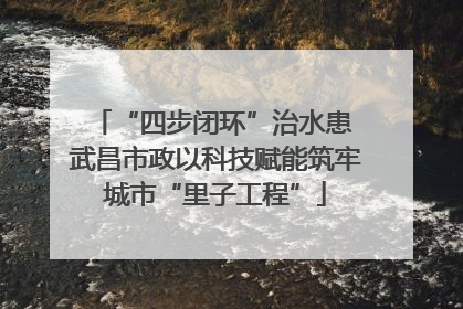 “四步闭环”治水患 武昌市政以科技赋能筑牢城市“里子工程”