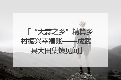 “大蒜之乡”精算乡村振兴幸福账——成武县大田集镇见闻