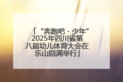 “奔跑吧・少年”2025年四川省第八届幼儿体育大会在乐山圆满举行