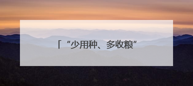 “少用种、多收粮”有何秘诀？——湖北襄阳小麦夏收见闻