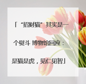 “招财猫”其实是一个熨斗 博物馆回应：是猫是虎，见仁见智