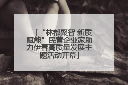 “林都聚智 新质赋能”民营企业家助力伊春高质量发展主题活动开幕