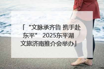“文脉承齐鲁 携手赴东平” 2025东平湖文旅济南推介会举办