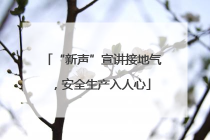“新声”宣讲接地气，安全生产入人心