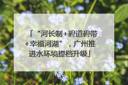 “河长制+碧道碧带+幸福河湖”，广州推进水环境提档升级