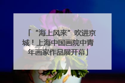“海上风来”吹进京城！上海中国画院中青年画家作品展开幕