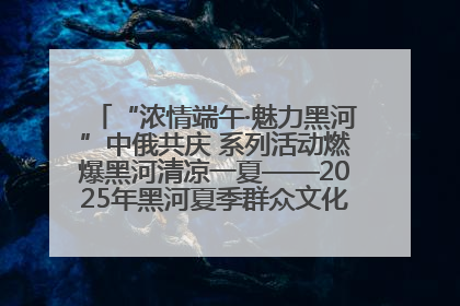 “浓情端午·魅力黑河”中俄共庆 系列活动燃爆黑河清凉一夏——2025年黑河夏季群众文化活动启幕 多元文化赋能边境文旅新高地