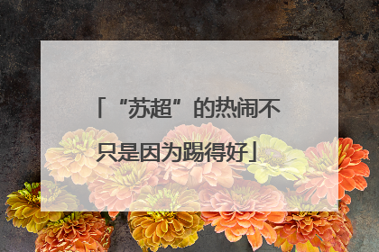 “苏超”的热闹不只是因为踢得好