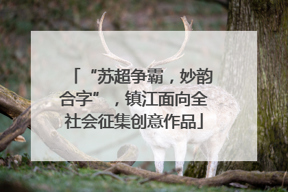 “苏超争霸，妙韵合字”，镇江面向全社会征集创意作品