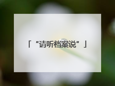 “请听档案说”