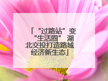 “过路站”变“生活圈” 湖北交投打造路域经济新生态