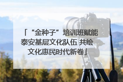 “金种子”培训班赋能泰安基层文化队伍 共绘文化惠民时代新卷