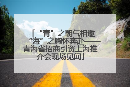 “青”之朝气相邀 “海”之胸怀奔赴——青海省招商引资上海推介会现场见闻